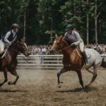 Sw Hobby Horsing Freizeit Wettkampf Humor 1