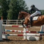 Sw Hobby Horsing Freizeit Wettkampf Humor 4