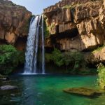 Sw Natur Reisen Wissenschaft Suppenrezepte 10