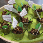 Tnd schokofinale dessert gastronomie